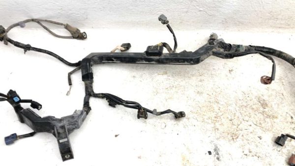 2006 Honda Accord Wiring Harness For Engine Oem 3.0L At — photo 6