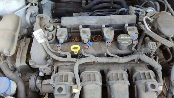 2012-2018 Ford Focus Ford Focus Ignition Coil Assembly Set Of 4 Oem Cm5Z12029K — photo 2