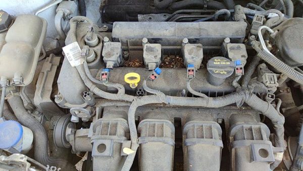 2012-2018 Ford Focus Ford Focus Ignition Coil Assembly Set Of 4 Oem Cm5Z12029K — photo 3