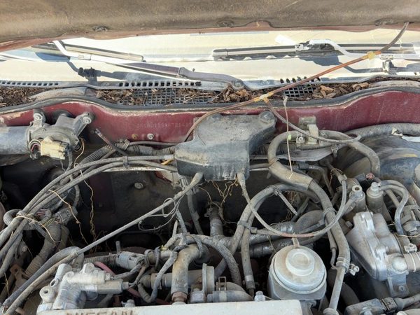 1987 Nissan Maxima Cruise Control Servo Assembly Module With Cable Oem 3.0L At — photo 1