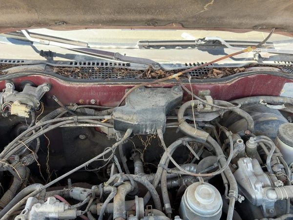 1987 Nissan Maxima Cruise Control Servo Assembly Module With Cable Oem 3.0L At — photo 2