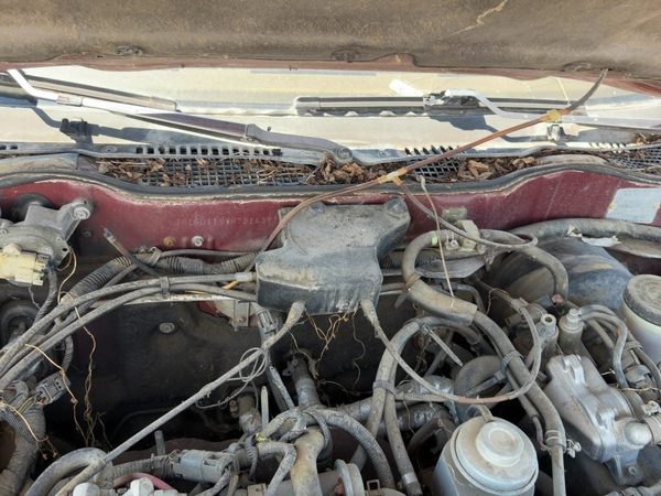 1987 Nissan Maxima Cruise Control Servo Assembly Module With Cable Oem 3.0L At — photo 3