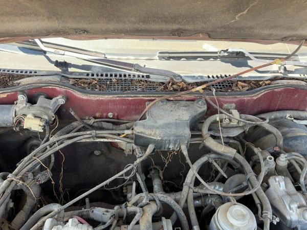 1987 Nissan Maxima Cruise Control Servo Assembly Module With Cable Oem 3.0L At — photo 4