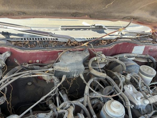 1987 Nissan Maxima Cruise Control Servo Assembly Module With Cable Oem 3.0L At — photo 6