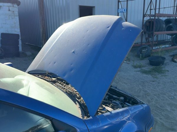 2002 Volkswagen Jetta Hood Blue — photo 3