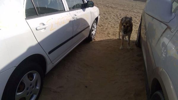 2007 Toyota Corolla — vehicle photo 9