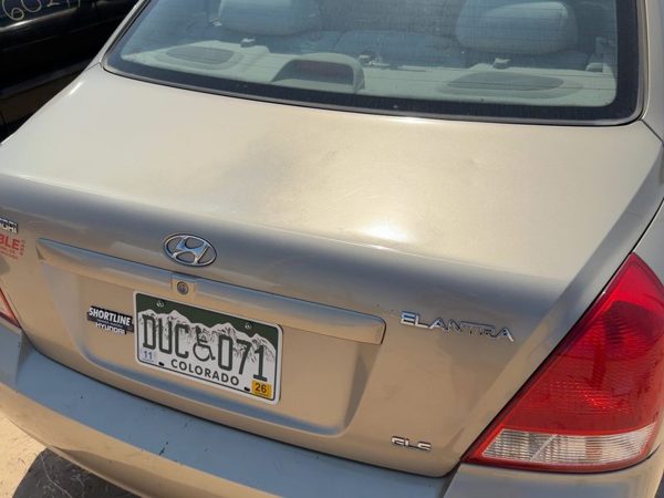 2002 Hyundai Elantra Trunk/decklid/hatch/tailgate Prime Beige Ko — photo 2