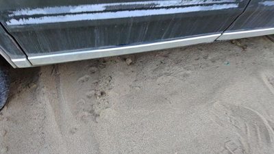 82-91 Pontiac 6000 Passenger Right Rear Moulding From Door Oem Back Trim Strip