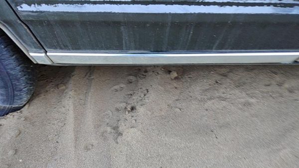 82-91 Pontiac 6000 Passenger Right Rear Moulding From Door Oem Back Trim Strip — photo 2