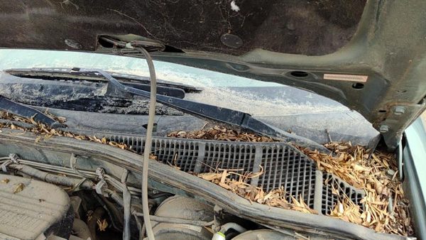 00-04 Legacy Outback Driver Left Windshield Wiper Arm Oem Blade Lever 86532Ae06a — photo 5