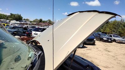 1998 Lincoln Navigator Hood Gold Bi