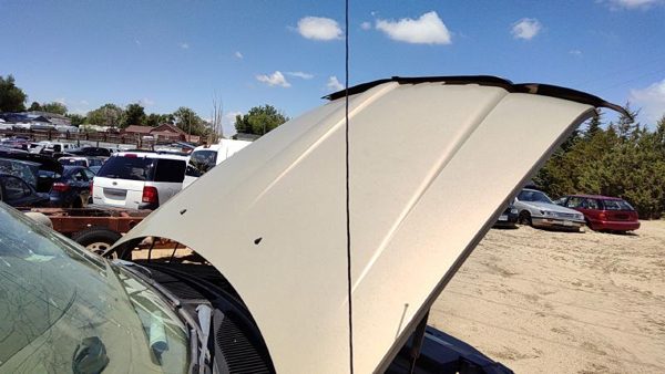 1998 Lincoln Navigator Hood Gold Bi — photo 2