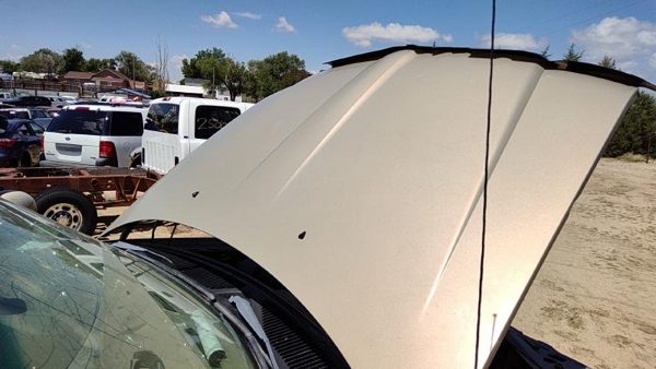 1998 Lincoln Navigator Hood Gold Bi — photo 4