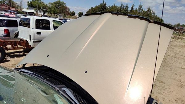 1998 Lincoln Navigator Hood Gold Bi — photo 5