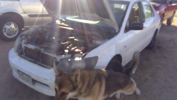 2002 Mitsubishi Lancer — vehicle photo 2