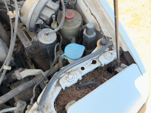 86-89 Honda Accord Lx Windshield Washer Fluid Reservoir With Pump Oem Wiper Tank — photo 1