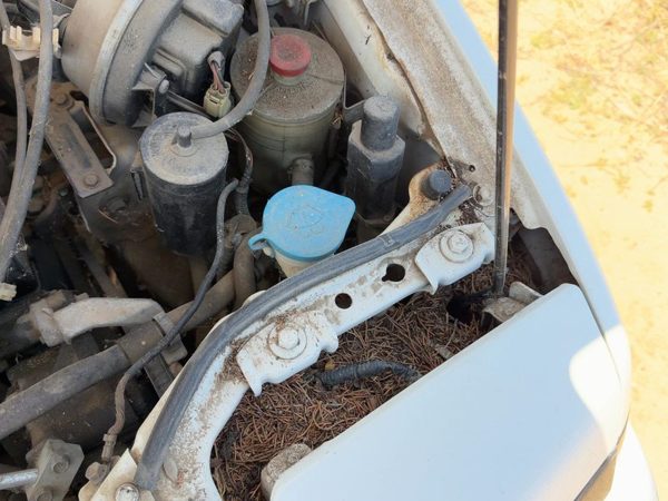 86-89 Honda Accord Lx Windshield Washer Fluid Reservoir With Pump Oem Wiper Tank — photo 3