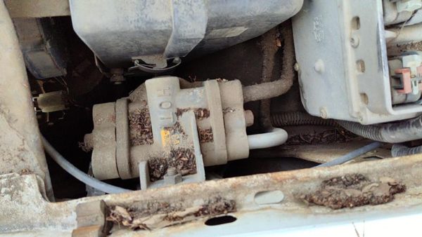 1993 Chevy S10 Blazer Oil Filter Adapter Housing Oem 4.3L — photo 3