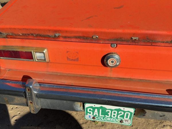 1974-77 Ford Maverick License Plate Trim Surround Panel Tail Trunk Finish Orange — photo 5