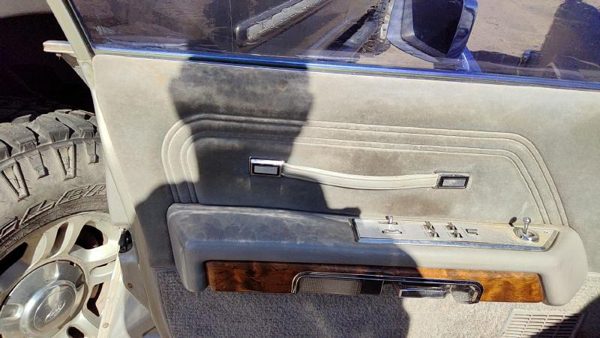 83-87 Grand Marquis Driver Left Front Door Trim Panel With Master Switch Gray — photo 2