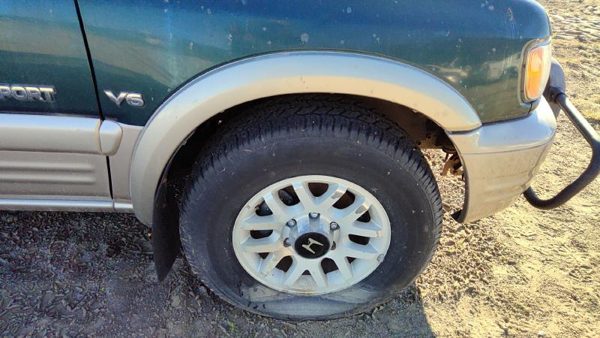 2000-2002 Honda Passport Passenger Right Front Wheel Flare Moulding Oem Fender — photo 1