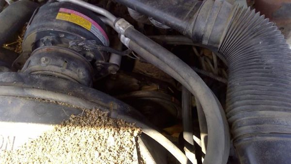 1983 Pontiac Firebird Power Steering Pump With Mount Bracket Oem 2.8l — photo 3