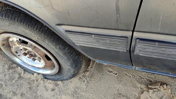1984-1986 Toyota Camry Driver Left Moulding From Fender Oem Trim Strip Gray — photo 5