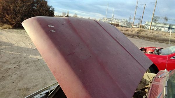 1979 Ford F150 Hood Maroon — photo 2
