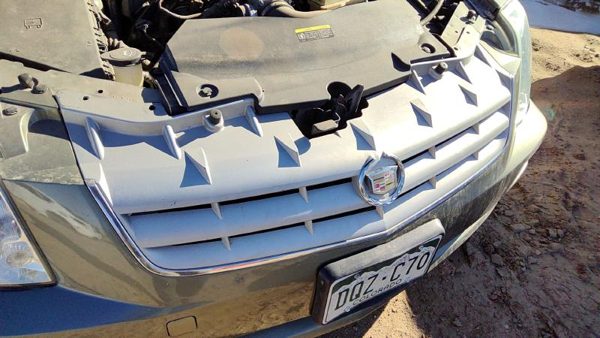 2005-2007 Cadillac Sts Front Grille Assembly Oem 25712895 — photo 1