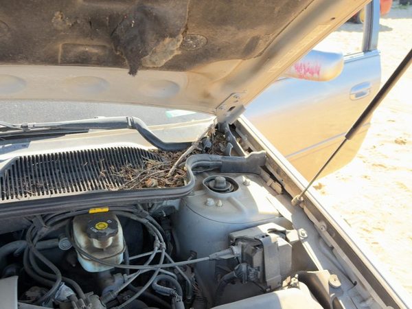 2005 Cadillac Deville Hood Hinge RH Platinum 67U — photo 3