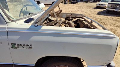 1981-1993 Dodge D350 Passenger Right Chrome Moulding From Fender Oem Trim Strip