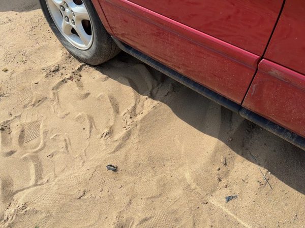 2000-2007 Ford Taurus Passenger Right Lower Rocker Panel Moulding Oem — photo 5