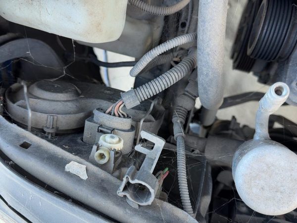 2002 Vw Jetta Wiring Pigtail For Right Headlight — photo 1