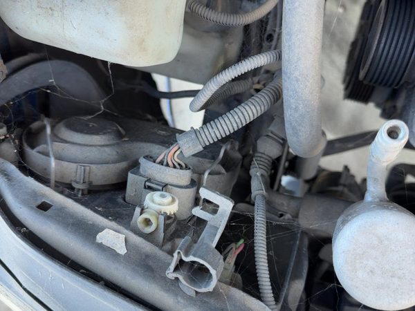 2002 Vw Jetta Wiring Pigtail For Right Headlight — photo 2