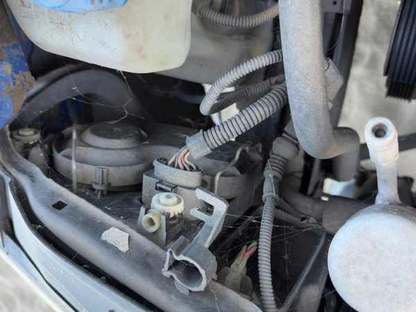 2002 Vw Jetta Wiring Pigtail For Right Headlight — photo 3