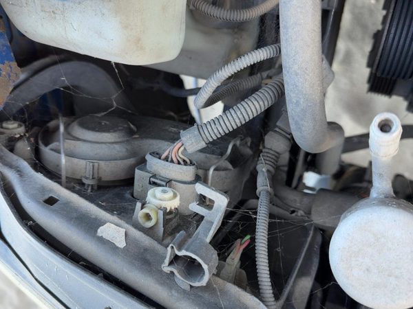 2002 Vw Jetta Wiring Pigtail For Right Headlight — photo 4