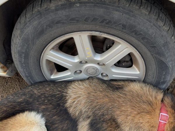 2011-2012 Chrysler Town & Country 16" Wheel Oem Factory Rim #3 1Sp68Gsaaa — photo 1