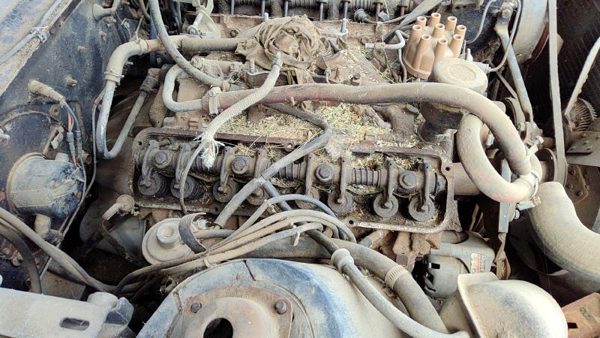 1964 Ford Thunderbird Coupe Passenger Right Cylinder Head Assembly OEM 390 Rh — photo 3