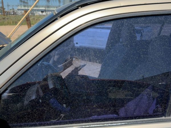 2002-2006 Honda Crv Driver Left Front Side Window Door Glass Oem 7106248 — photo 1