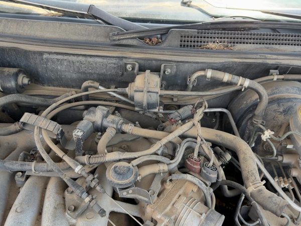 1997-1998 Nissan Maxima Cruise Control Servo Assembly Module With Cable Oem — photo 1