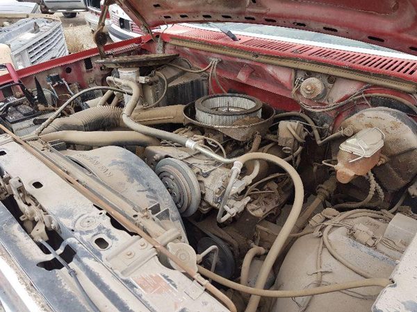 1980 Ford Pickup F150 — vehicle photo 2