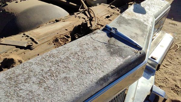 1984 Cadillac Deville Header Panel — photo 6