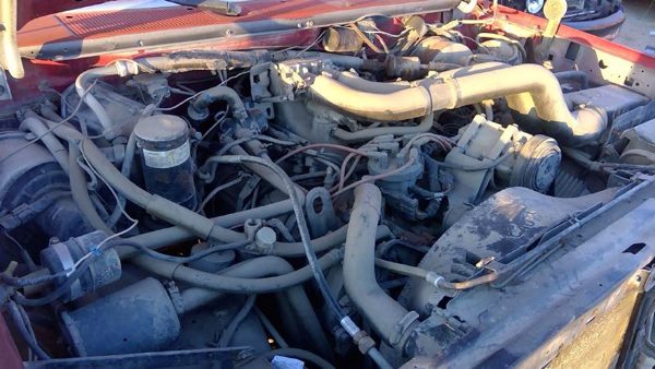 1989 Ford F350 — vehicle photo 2