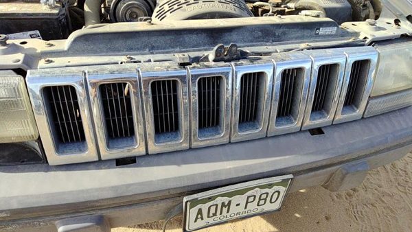 1993-1995 Jeep Grand Cherokee Front Grille Assembly Oem Chrome 55054890 — photo 2