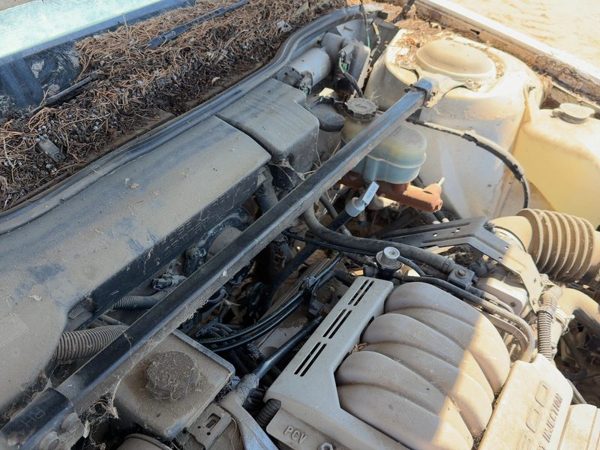 1992-1995 Olds Eighty Eight Strut Tower Brace OEM Front 3.8L V6 Sedan — photo 3