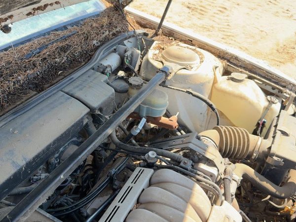 1992-1995 Olds Eighty Eight Strut Tower Brace OEM Front 3.8L V6 Sedan — photo 5