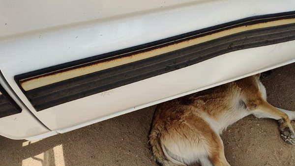 2001 02 Silverado 2500 Hd Passenger Right Rear Moulding From Door Oem Back Trim — photo 8