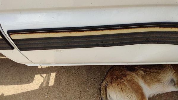 2001 02 Silverado 2500 Hd Passenger Right Rear Moulding From Door Oem Back Trim — photo 7