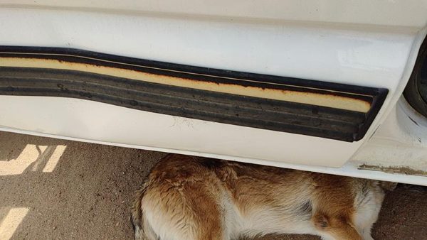 2001 02 Silverado 2500 Hd Passenger Right Rear Moulding From Door Oem Back Trim — photo 4