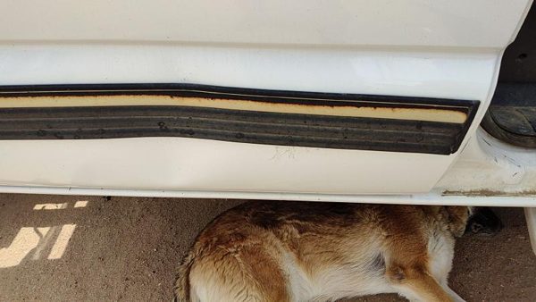 2001 02 Silverado 2500 Hd Passenger Right Rear Moulding From Door Oem Back Trim — photo 3